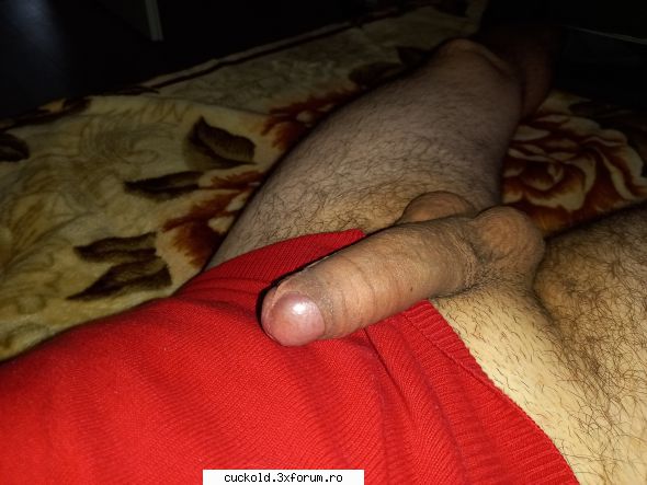 Caut cuplu in arad - Astept mesajele voastre va pup - Fantezii si intamplari din viata de cuckold
