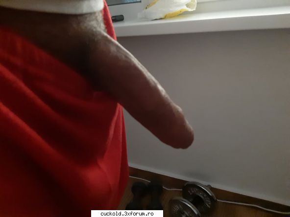 Cuplu cauta bull - Salut...daca sunteti interesati astept sa ma - Fantezii si intamplari din viata de cuckold