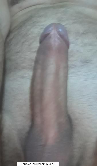 Cupluri/femei din Bihor sau imprejurimi - Servus. Doua saptamani - Fantezii si intamplari din viata de cuckold