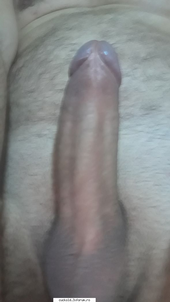 Pule frumoase..... - Elzorap - Experiente proprii
